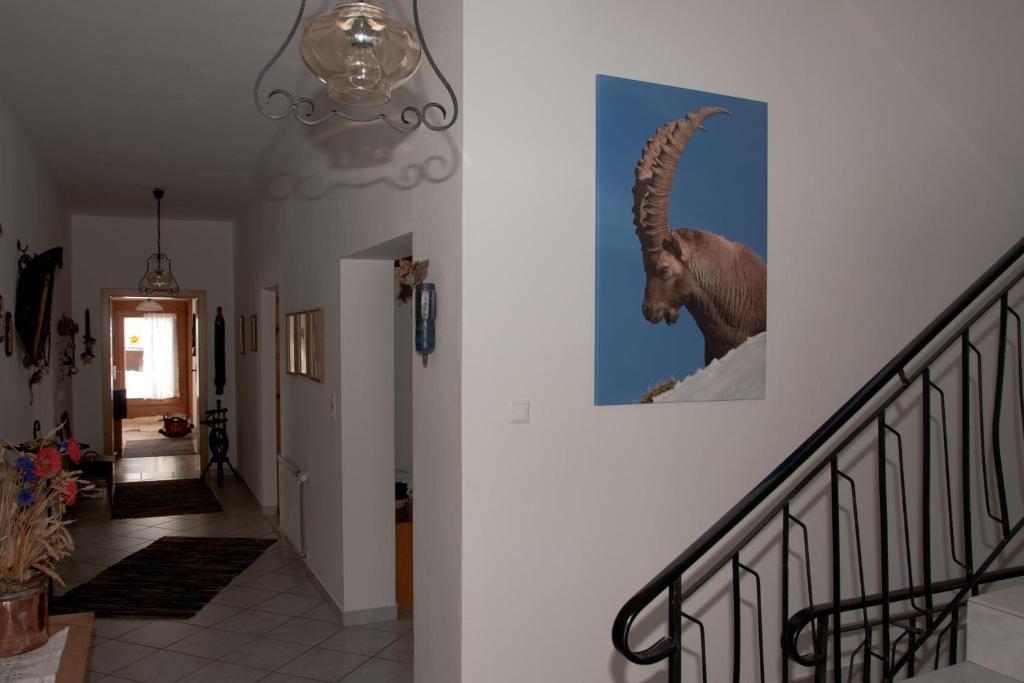Appartements Schmalzerhof Gries im Sellrain Bagian luar foto